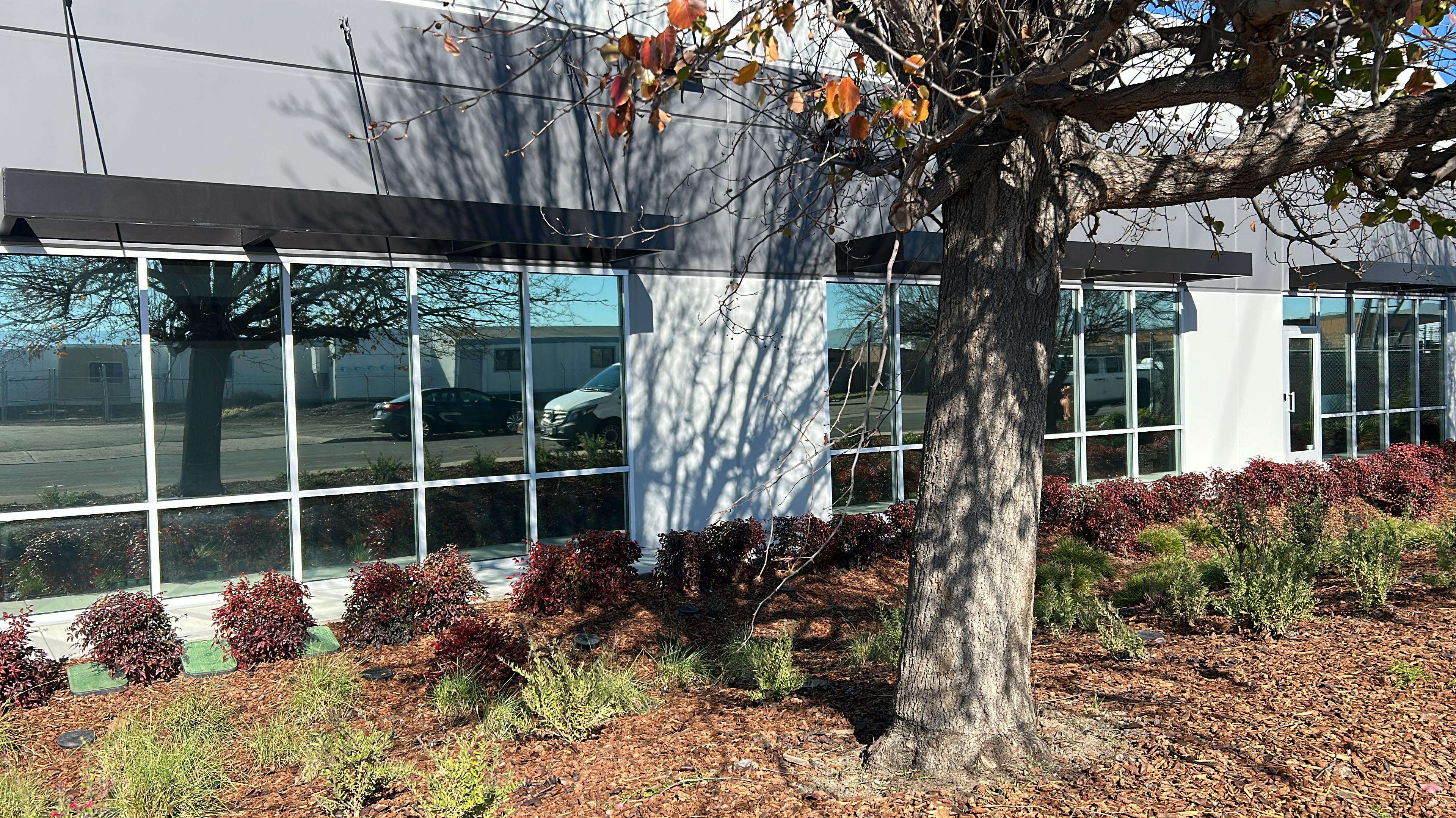 Mirror tint installed on office windows — the glass reflects the street and sky from outside
